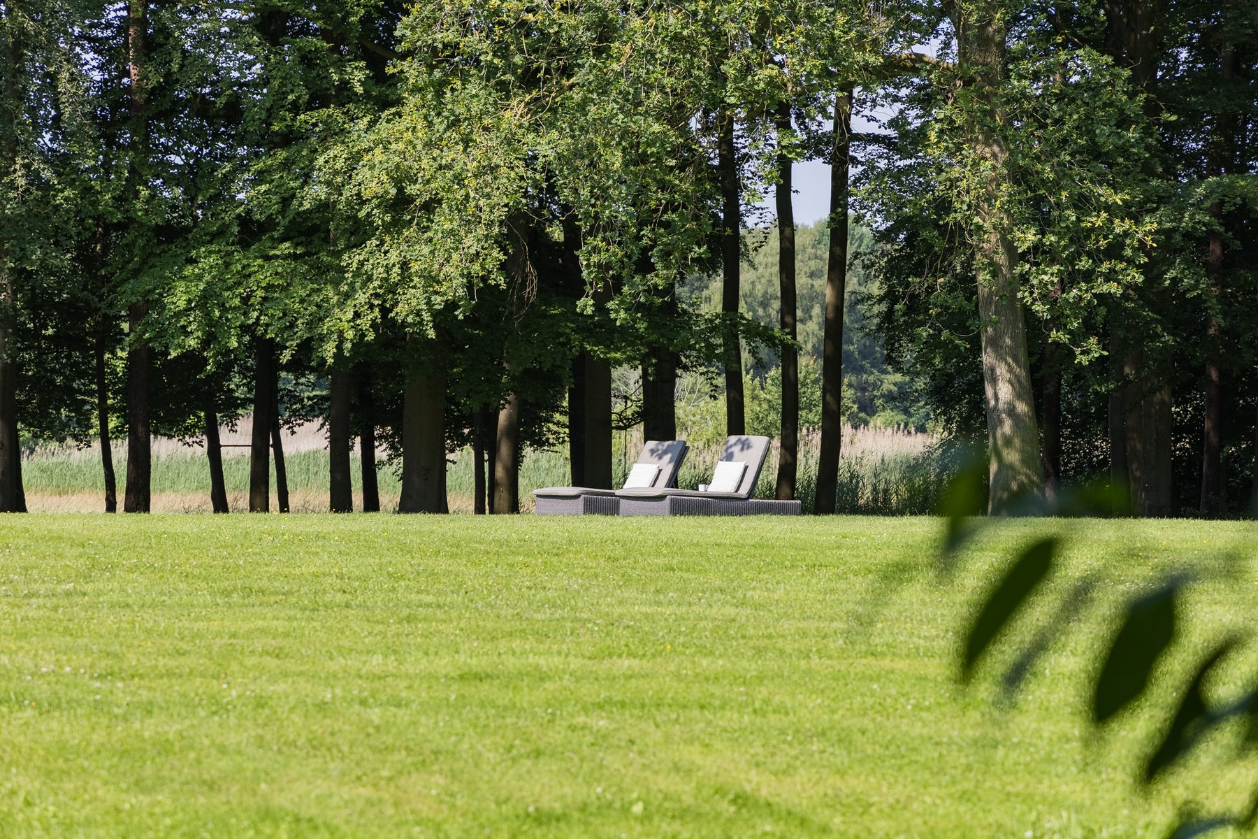 Het gazon dat overloopt in de bosrand, met ligstoelen tussen de stammen