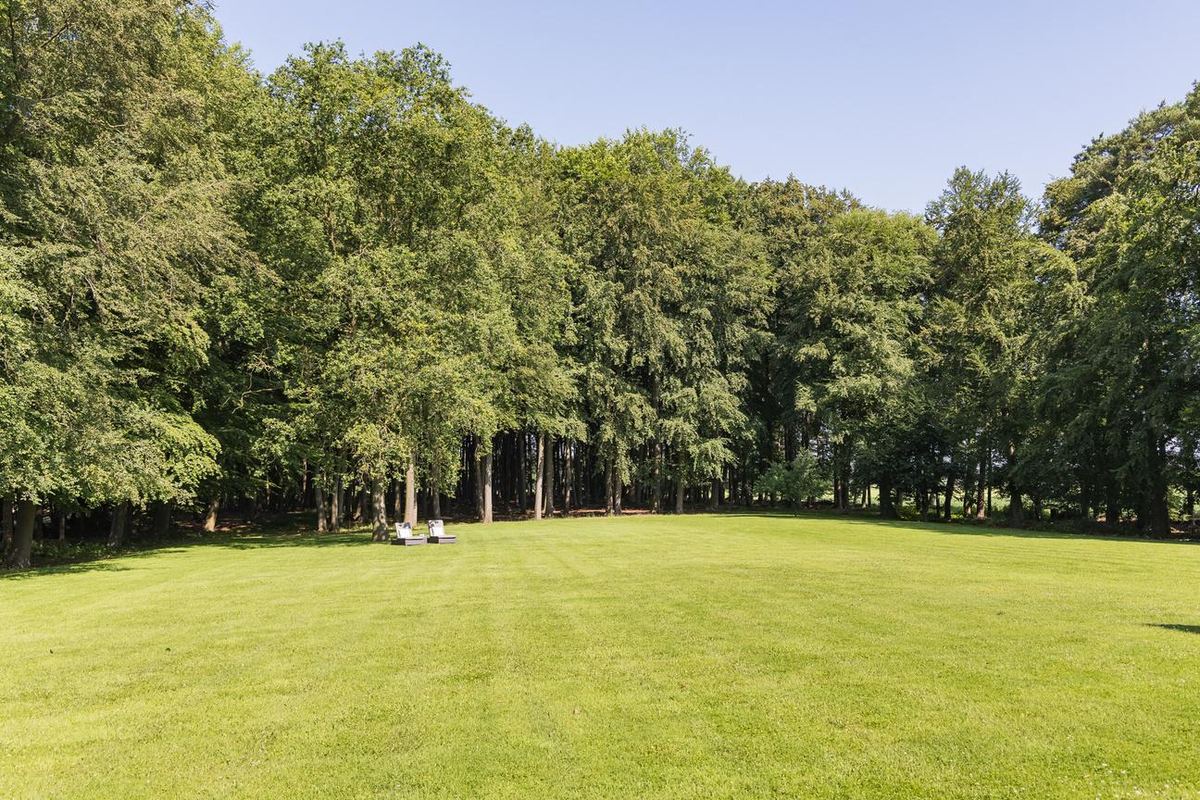 Het grote gazon omzoomd door het beukenbos