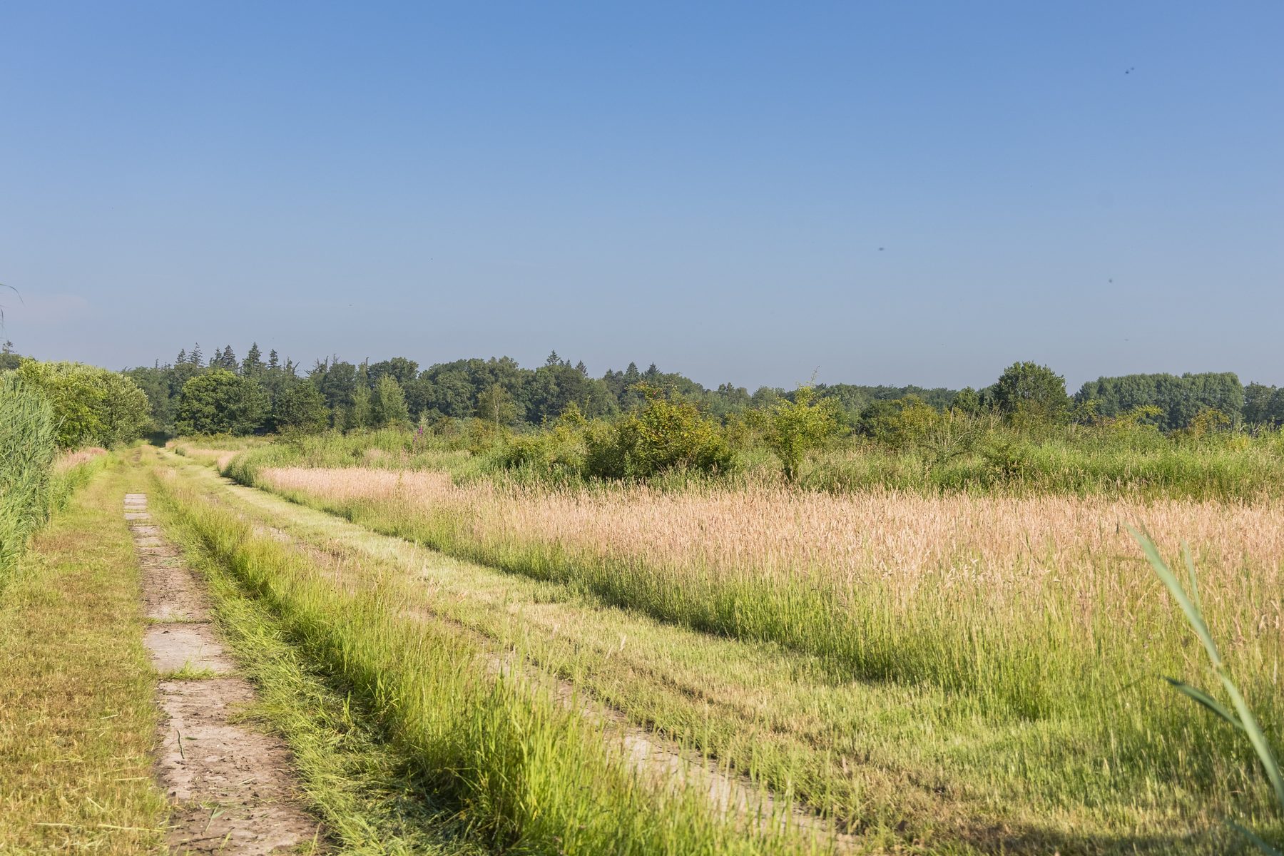 Een pad langs het weiland aan de rand van het landgoed